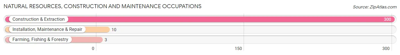 Natural Resources, Construction and Maintenance Occupations in Zip Code 43730