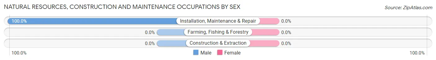 Natural Resources, Construction and Maintenance Occupations by Sex in Zip Code 43734