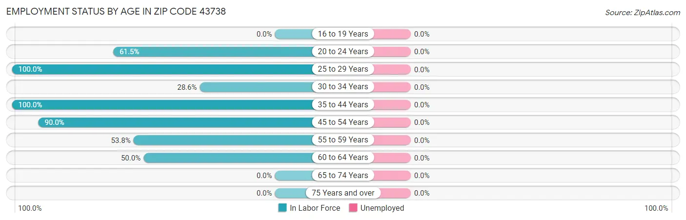 Employment Status by Age in Zip Code 43738