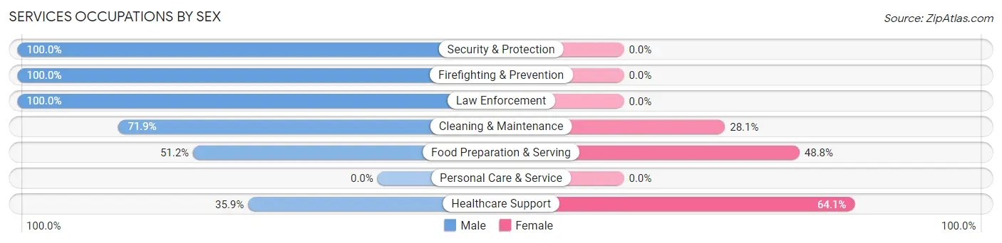Services Occupations by Sex in Zip Code 43748