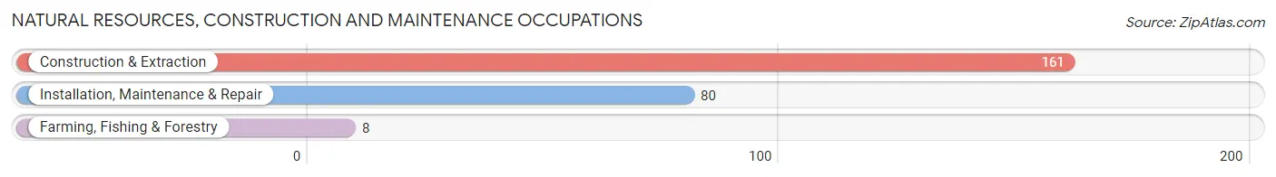 Natural Resources, Construction and Maintenance Occupations in Zip Code 43756