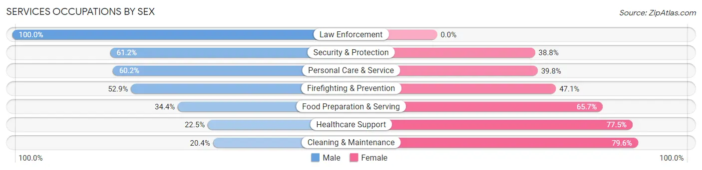 Services Occupations by Sex in Zip Code 43762
