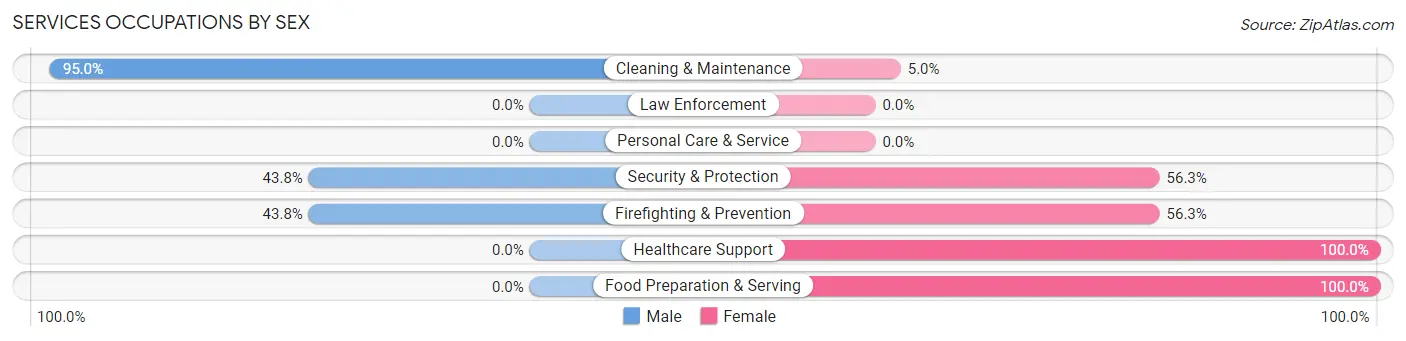 Services Occupations by Sex in Zip Code 43767
