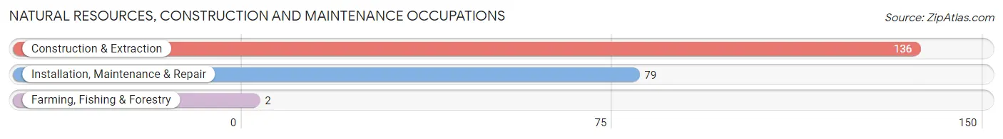 Natural Resources, Construction and Maintenance Occupations in Zip Code 43771