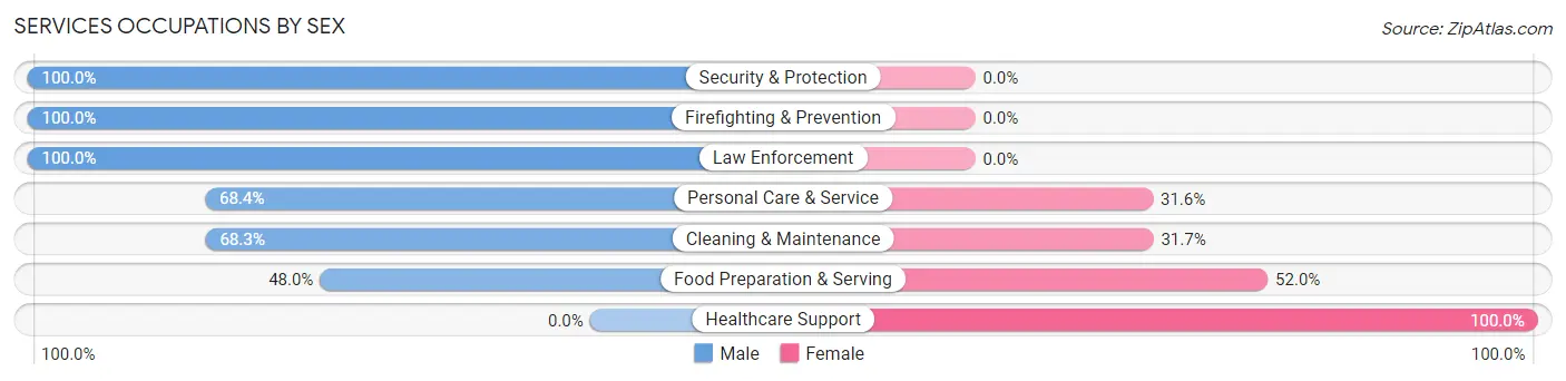 Services Occupations by Sex in Zip Code 43822