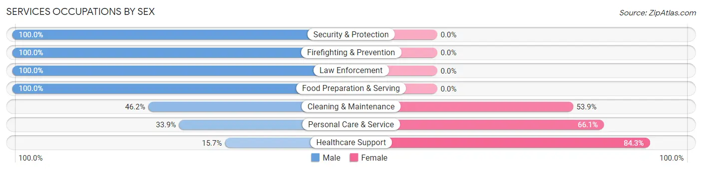 Services Occupations by Sex in Zip Code 43830