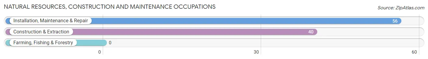 Natural Resources, Construction and Maintenance Occupations in Zip Code 43903