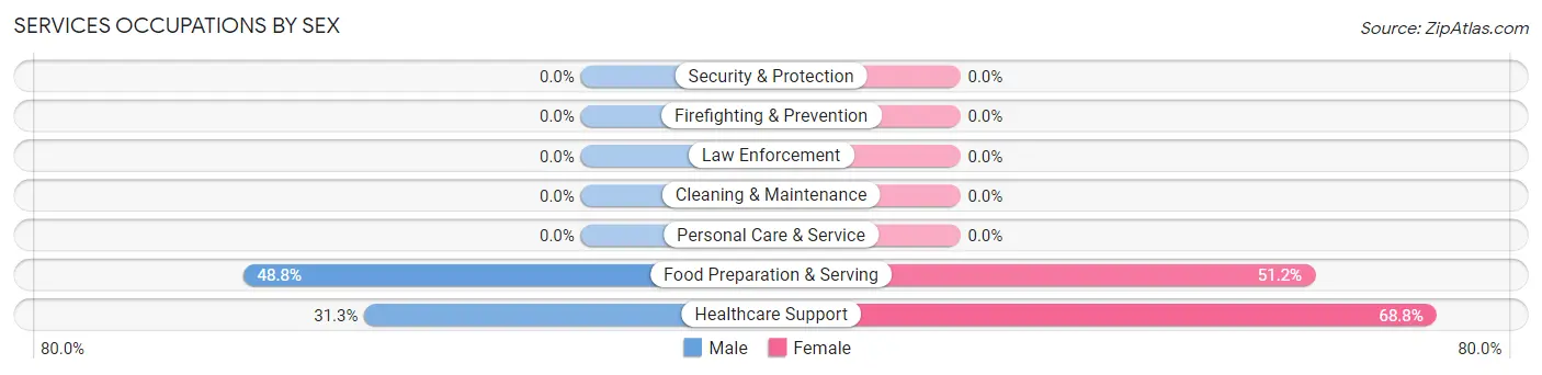 Services Occupations by Sex in Zip Code 43933
