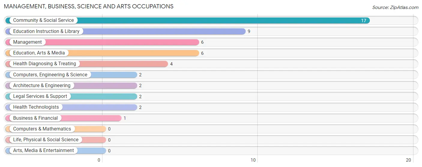 Management, Business, Science and Arts Occupations in Zip Code 43939