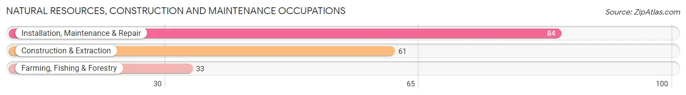 Natural Resources, Construction and Maintenance Occupations in Zip Code 43943