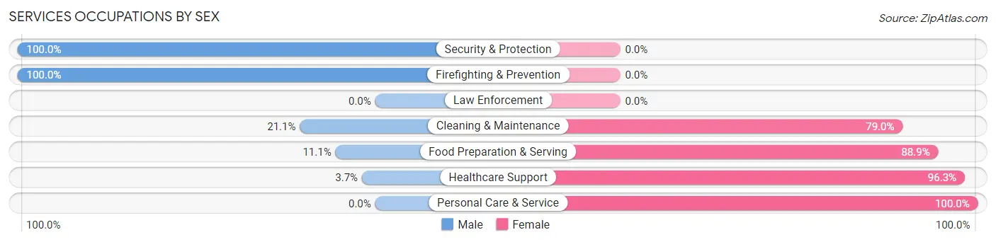Services Occupations by Sex in Zip Code 43943