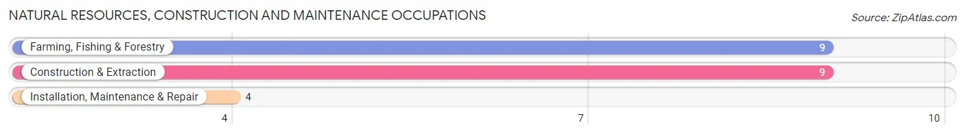 Natural Resources, Construction and Maintenance Occupations in Zip Code 43948