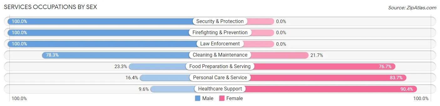 Services Occupations by Sex in Zip Code 43953