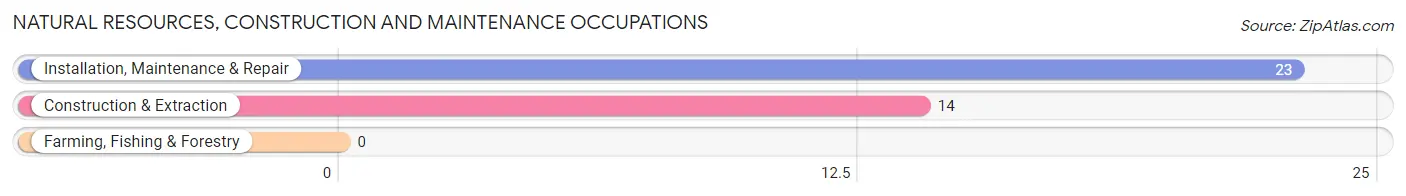 Natural Resources, Construction and Maintenance Occupations in Zip Code 43963