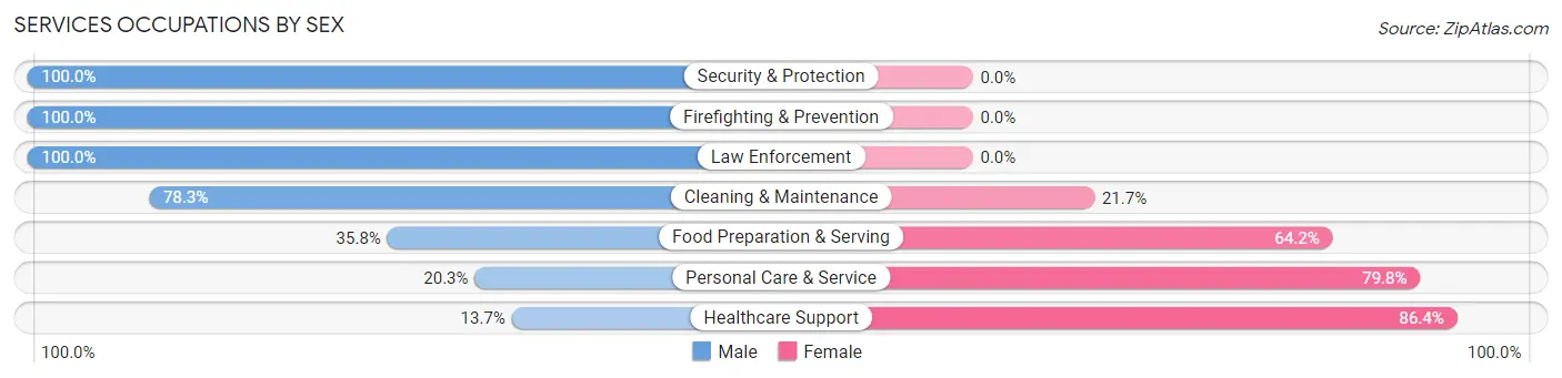 Services Occupations by Sex in Zip Code 43964