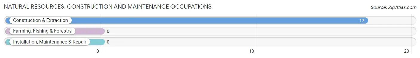 Natural Resources, Construction and Maintenance Occupations in Zip Code 43972