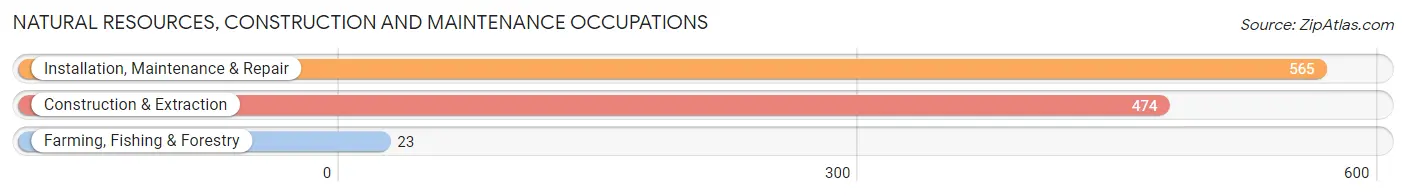 Natural Resources, Construction and Maintenance Occupations in Zip Code 44001