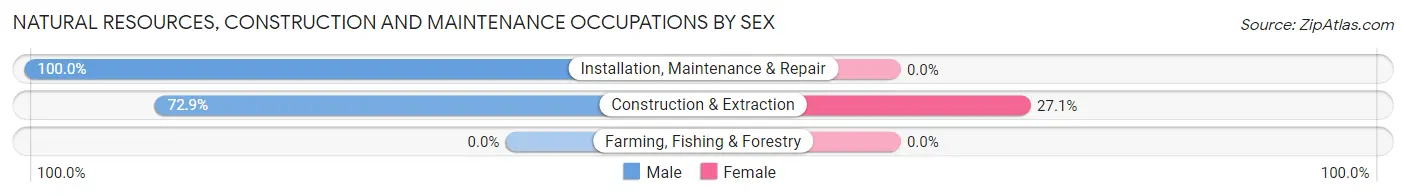 Natural Resources, Construction and Maintenance Occupations by Sex in Zip Code 44030