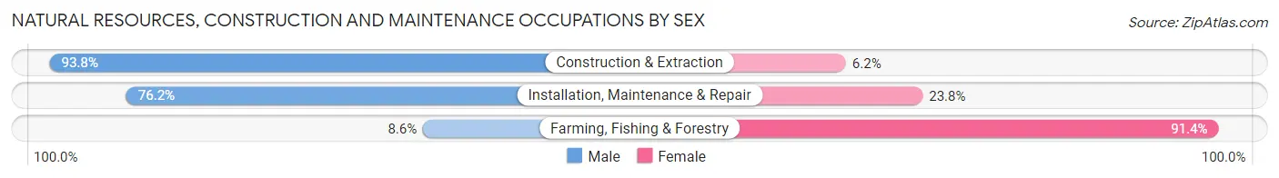Natural Resources, Construction and Maintenance Occupations by Sex in Zip Code 44041