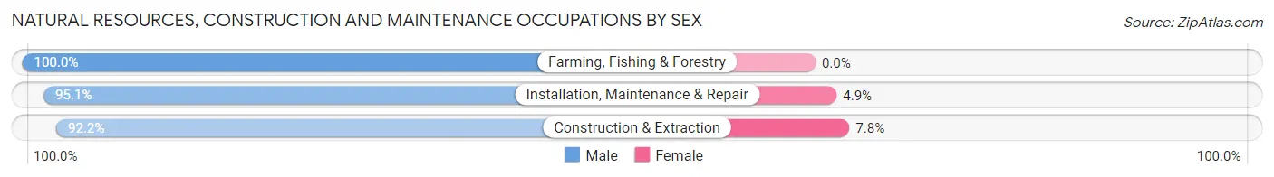 Natural Resources, Construction and Maintenance Occupations by Sex in Zip Code 44055