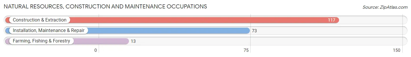 Natural Resources, Construction and Maintenance Occupations in Zip Code 44086