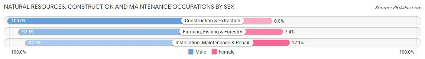 Natural Resources, Construction and Maintenance Occupations by Sex in Zip Code 44090
