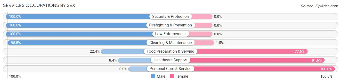 Services Occupations by Sex in Zip Code 44090