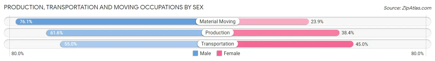Production, Transportation and Moving Occupations by Sex in Zip Code 44102