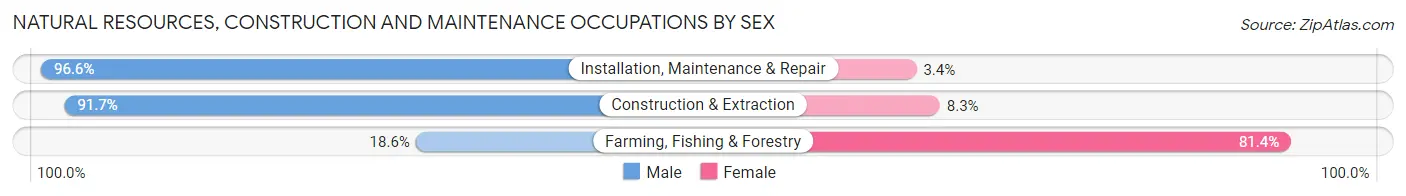 Natural Resources, Construction and Maintenance Occupations by Sex in Zip Code 44107
