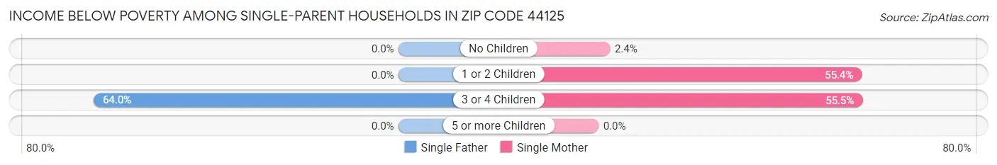Income Below Poverty Among Single-Parent Households in Zip Code 44125