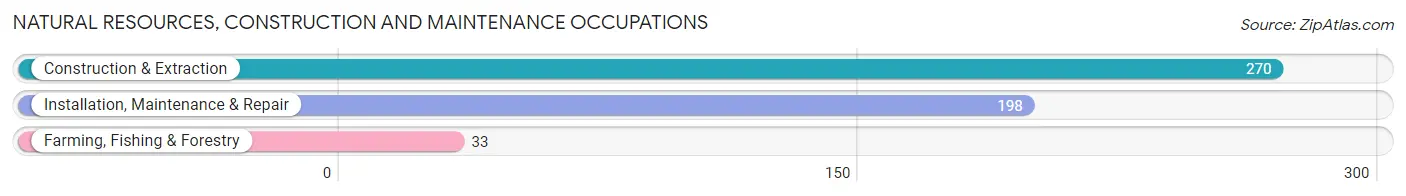 Natural Resources, Construction and Maintenance Occupations in Zip Code 44126