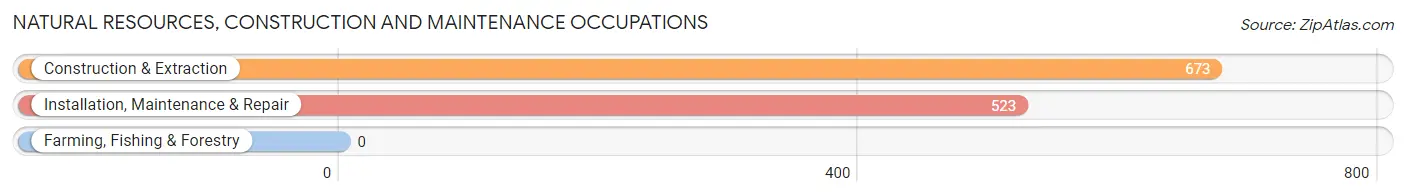 Natural Resources, Construction and Maintenance Occupations in Zip Code 44133