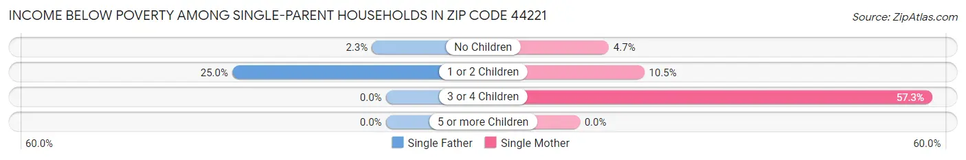Income Below Poverty Among Single-Parent Households in Zip Code 44221