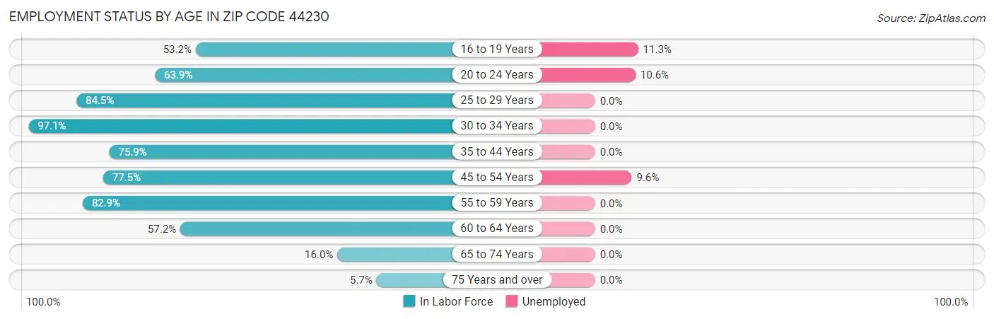 Employment Status by Age in Zip Code 44230