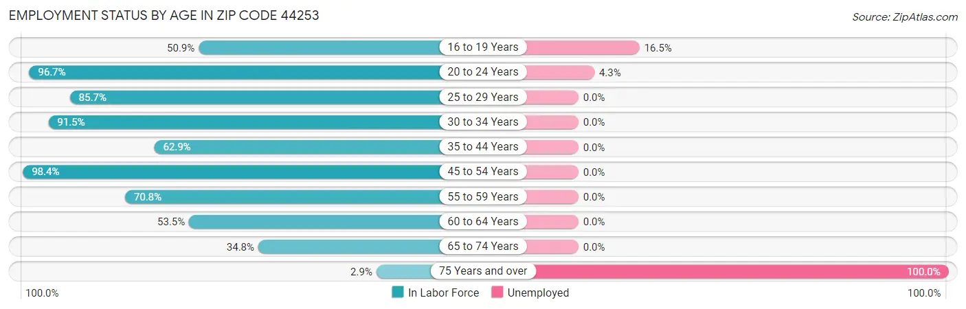 Employment Status by Age in Zip Code 44253