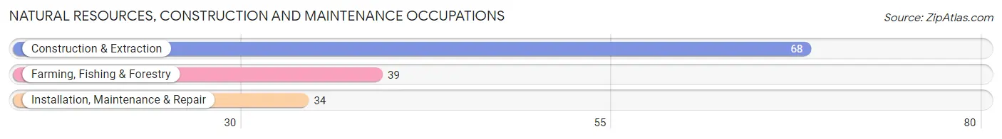 Natural Resources, Construction and Maintenance Occupations in Zip Code 44276