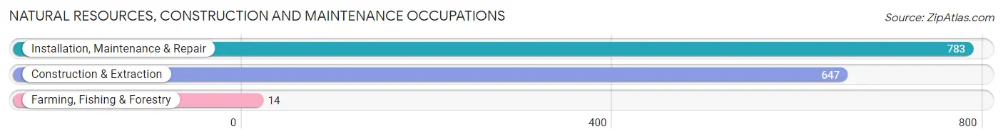 Natural Resources, Construction and Maintenance Occupations in Zip Code 44281