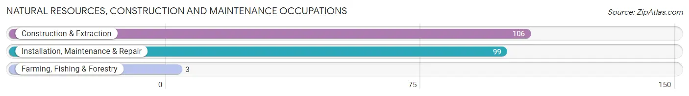 Natural Resources, Construction and Maintenance Occupations in Zip Code 44405