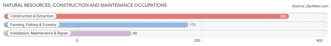 Natural Resources, Construction and Maintenance Occupations in Zip Code 44624