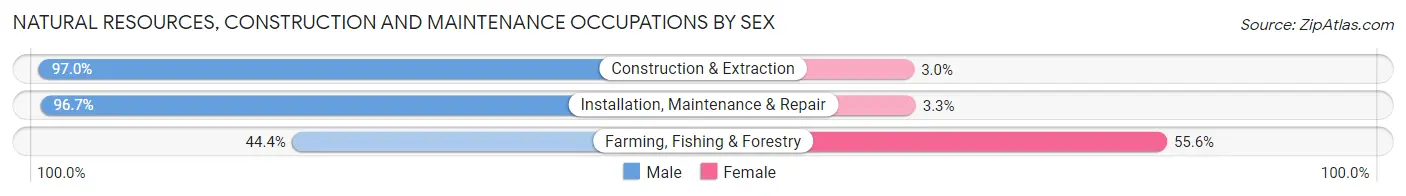 Natural Resources, Construction and Maintenance Occupations by Sex in Zip Code 44691