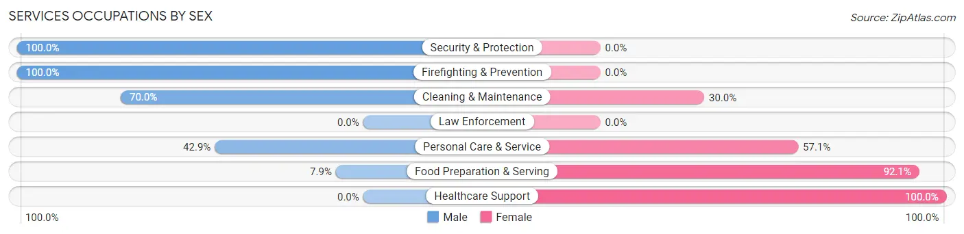 Services Occupations by Sex in Zip Code 44804