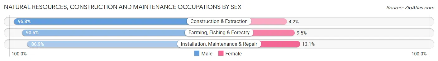 Natural Resources, Construction and Maintenance Occupations by Sex in Zip Code 44805