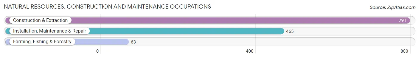 Natural Resources, Construction and Maintenance Occupations in Zip Code 44805