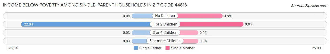 Income Below Poverty Among Single-Parent Households in Zip Code 44813