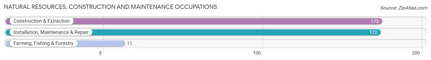 Natural Resources, Construction and Maintenance Occupations in Zip Code 44851