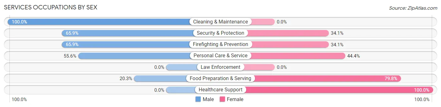 Services Occupations by Sex in Zip Code 45101