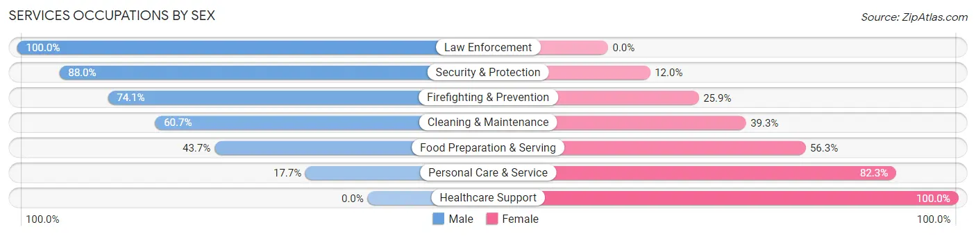 Services Occupations by Sex in Zip Code 45102