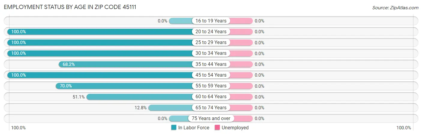 Employment Status by Age in Zip Code 45111