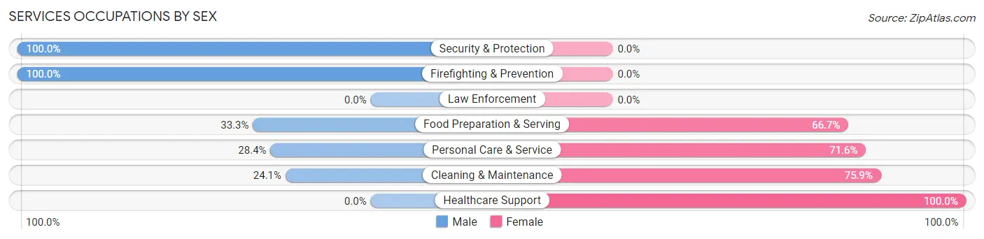 Services Occupations by Sex in Zip Code 45120