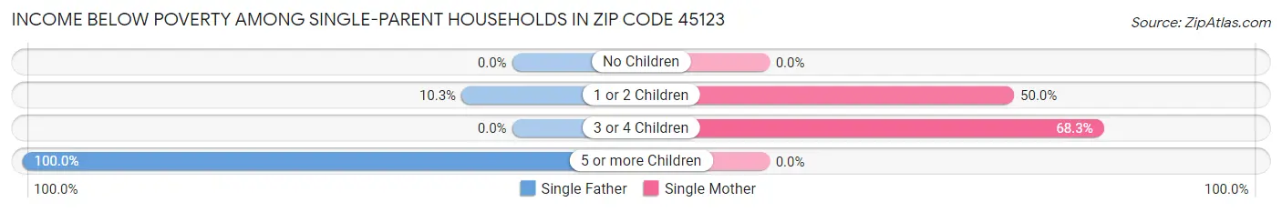Income Below Poverty Among Single-Parent Households in Zip Code 45123